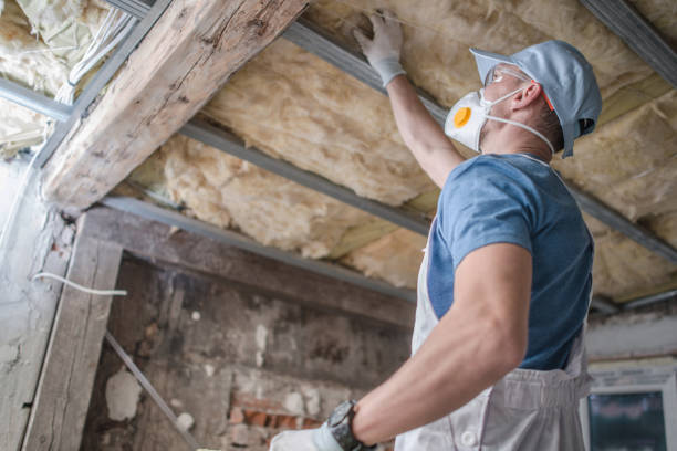 Best Wall Insulation Contractor  in Conneaut Lakeshore, PA