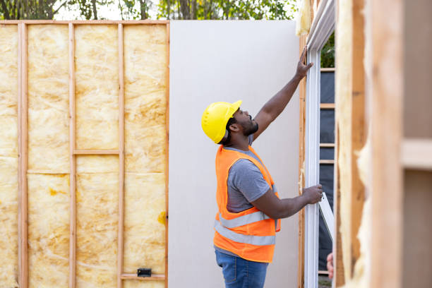 Best Professional Insulation Contractor  in Conneaut Lakeshore, PA