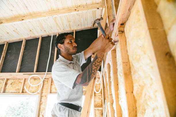 Best Insulation Repair Services  in Conneaut Lakeshore, PA